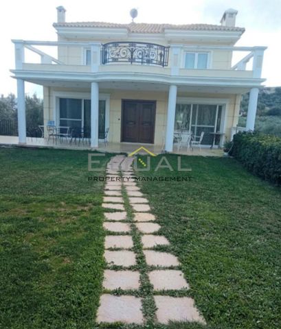 Μεζονέτα 240 τ.μ. προς ενοικίαση - Photo 2