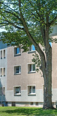 Demnächst frei! 1-Zimmer-Wohnung in Dortmund Körne - Photo 1