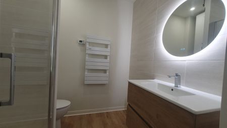 Location Appartement 1 pièce 20m² ALBI 81000 - Photo 4