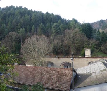 Location appartement 1 pièce 19.6 m² à Vals-les-Bains (07600) - Photo 2