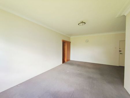 11/31 Elizabeth Street, Ashfield, NSW 2131 - Photo 3