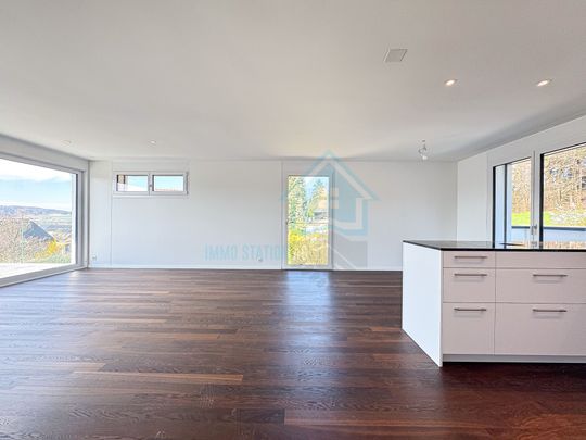 Exclusive 2.5-room penthouse on the attic floor - first occupancy - Photo 1