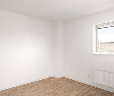 Oxie - 4rok - 11mån - 13.800kr/mån - Photo 3