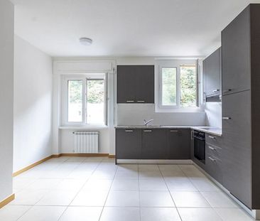 RENOVATED 2.5 IN GIUBIASCO - Foto 6