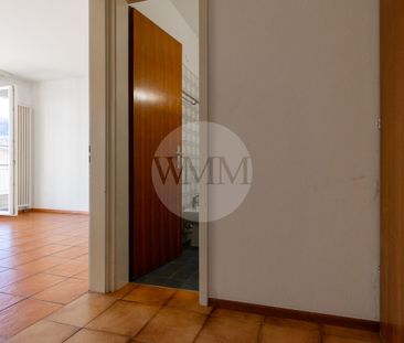 LUMINOSO 2.5 LOCALI A MASSAGNO - Foto 1