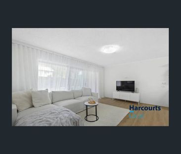 Ground Level Gem with Dual Courtyards in Prime Clayfield Location - Photo 1