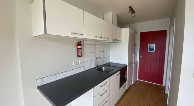 Frankton Studio - Photo 1