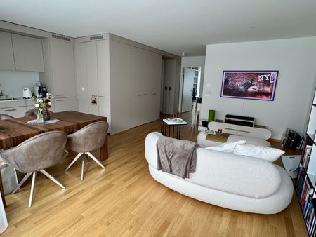 2-ROOM APARTMENT IN LUCERNE, FURNISHED, TEMPORARY - Foto 4