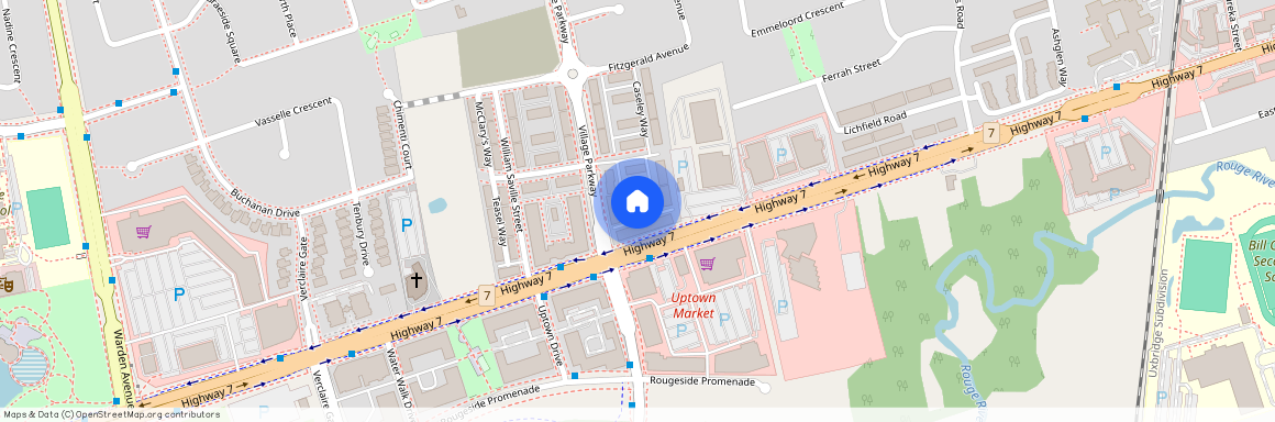 20 American Elm Way, Markham