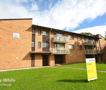 Prime Location!!! - Photo 5