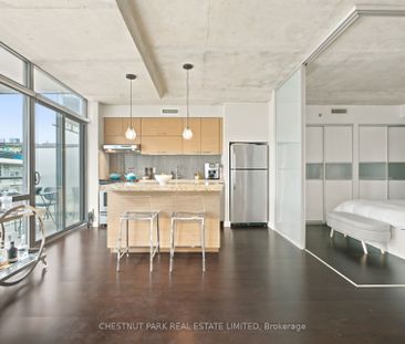 550 Wellington Lofts 55 , #915 - Photo 4