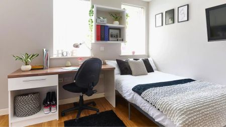 Classic Studio - Photo 5