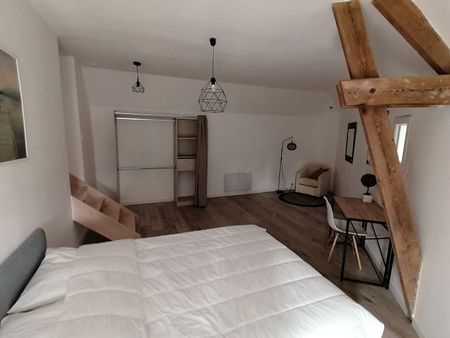 "LA MAGNIFIQUE" - Location Appartement tours : 43.89 m2 - Photo 4