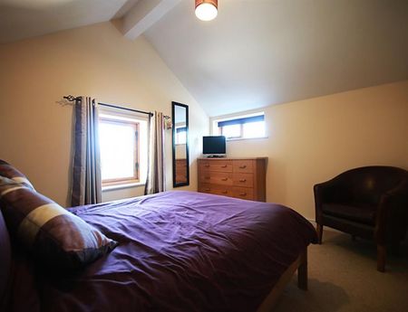 1 Bedroom Detached To Let - Photo 4