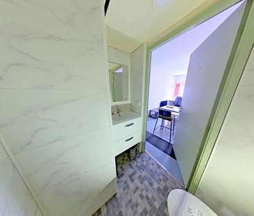 Location Appartement 1 pièce 18m² - Photo 6