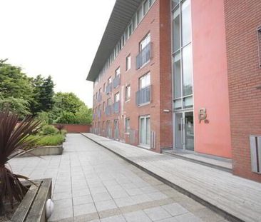 29 South Studios, Belfast, BT9 7BS - Photo 2