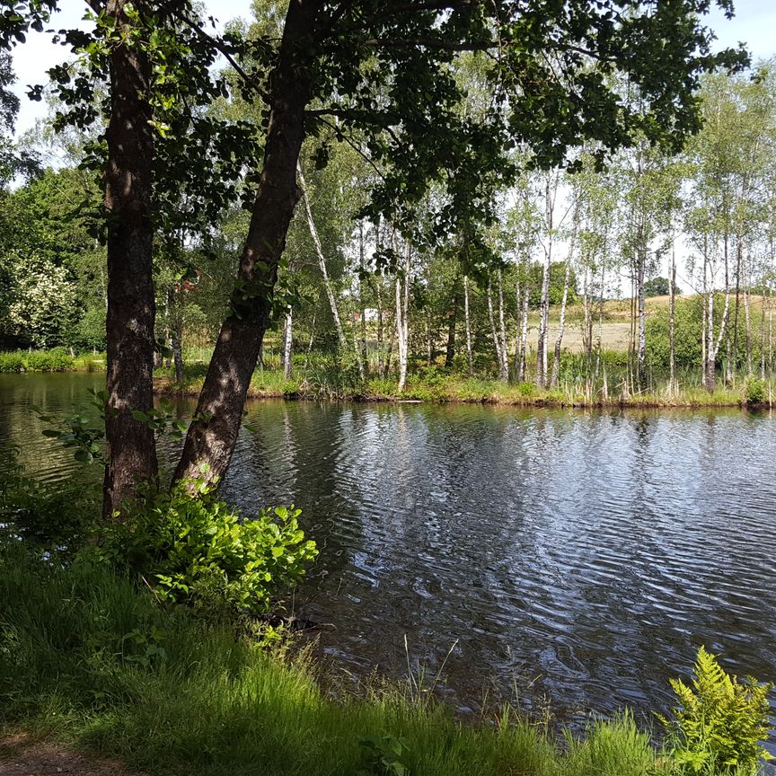 Dillvägen, Hjärnarp - Photo 2