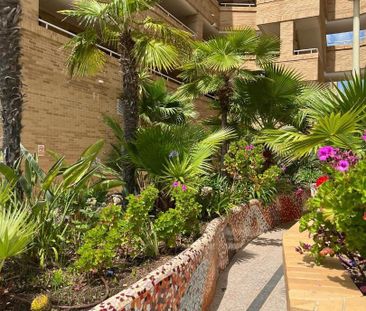 Apartamento de alquiler en Avenida Central, 44, Costa Azahar - Photo 6