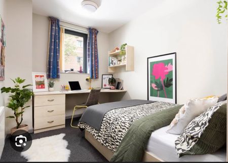 Room in a Shared Flat, Berry Street, M1 - Photo 5