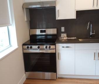 Newly Renovated 1 Bdrm aptmt for rent. Rent is $1,450/mth - Photo 3