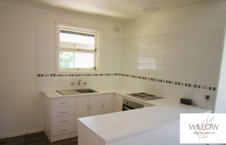 Freshly Painted with a shed! - Photo 3