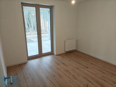 Energiezuinig nieuwbouw appartement met 3 slaapkamers, groot terras, overdekte autostaanplaats - Photo 4