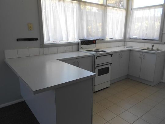 RENOVATED GEM IN THE HEART OF TOWN! - Photo 1