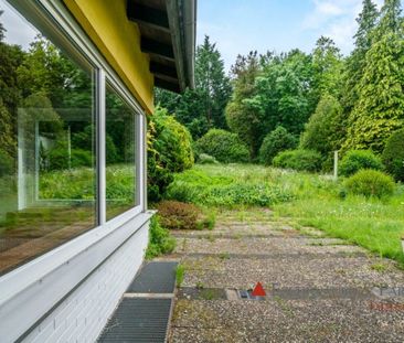 Einfamilienhaus mit traumhaften Garten zur Miete in Wiesbaden-Naurod - Foto 1
