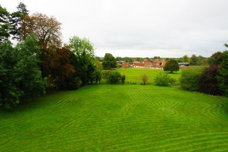 Lodge Road - Photo 5
