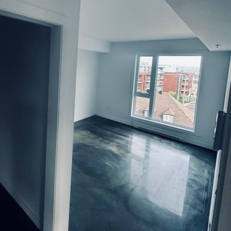 Libre, Penthouse , Lévis centre-ville 3 1/2+ - Photo 3