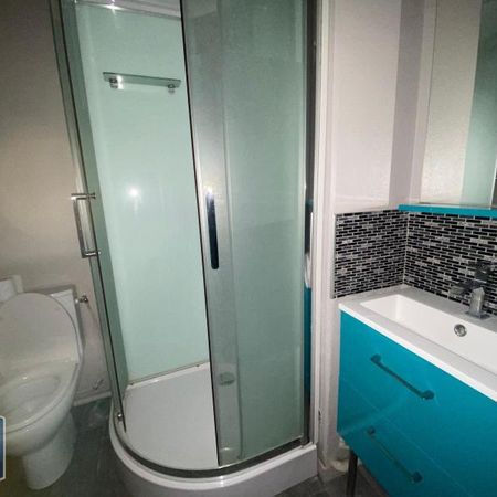 Location Appartement 1 pièce 21m² TOUQUES 14800 - Photo 3