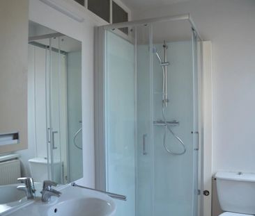 Location Appartement 2 pièces 50m² ALTKIRCH 68130 - Photo 2