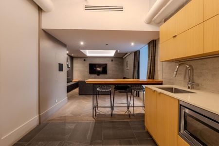 7400 Boul. St-Laurent, app.313, H2R 1Y1, Montréal - Photo 5