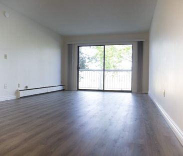 1 Bedroom - Renovated - Photo 6