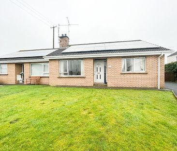 3 Woodford Court, Armagh BT60 2LN - Photo 6