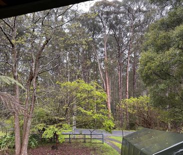 Reefton - Photo 4