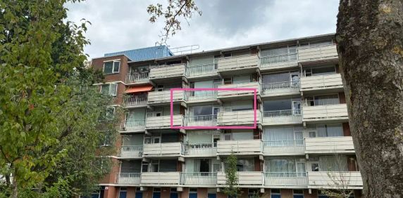 Appartement Sandenburgstraat 53, Breda Zuid-Oost - À louer - Photo 2