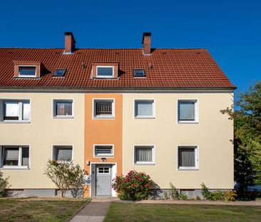 2-Zimmer-Wohnung in Bielefeld-Dornberg mieten - Foto 4