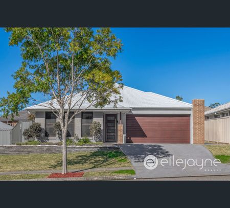 166 Dora Street, Dora Creek, NSW 2264 - Photo 3