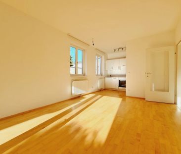 Der Garten und die Terrasse bieten das richtige Ambiente - Foto 6