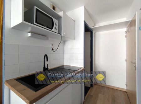 Location Appartement 1 pièce 19m² ST ETIENNE 42100 - Photo 2