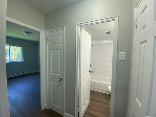 One Bedroom Apartment - Photo 1