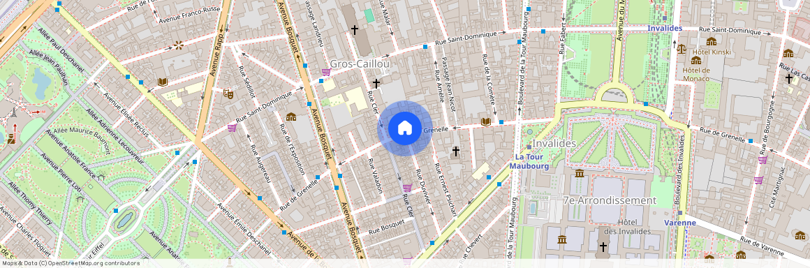 rue Duvivier et rue de Grenelle 75007 Paris (7e arrondissement)