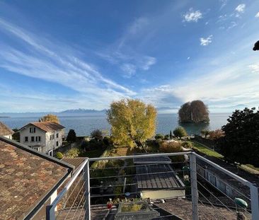 Charmant appartement duplex de 2.5 pièces dans les combles - Photo 3