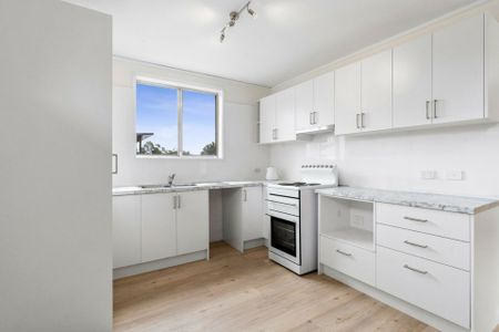 Updated 2 bedroom house tucked away in Scullin - Photo 2