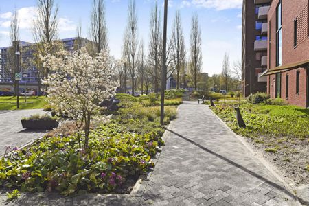 Verhuurd onder voorbehoud: Klaasje Zevensterstraat 491 - Foto 5