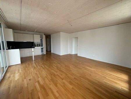 LE TICLE : Appartements neufs à louer - Photo 2