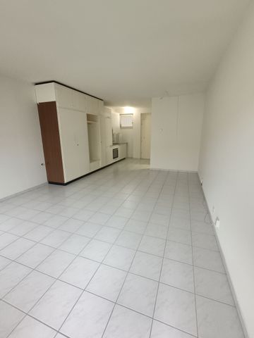 MINUSIO, 1 1/2-ROOM APARTMENT WITH LAKE VIEW - Photo 2