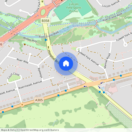 Hospital Bridge Road, TW2, London