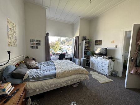 6 Allen Street, North East Valley - Photo 5